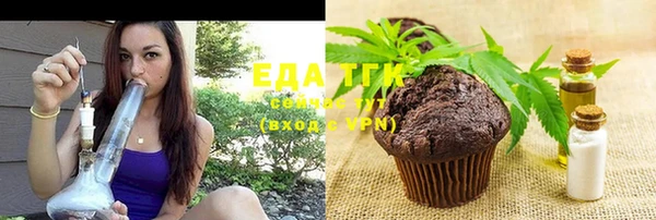первитин Михайлов
