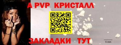 шишки Донской