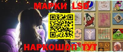стафф Дубна