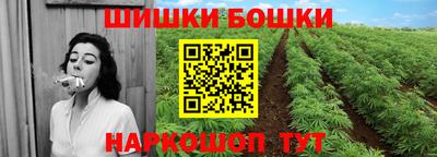 стафф Дубна