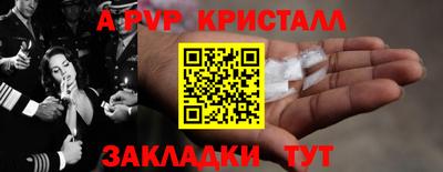 шишки Донской