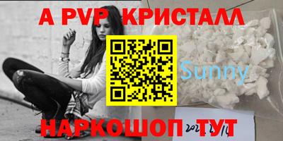 стафф Дубна