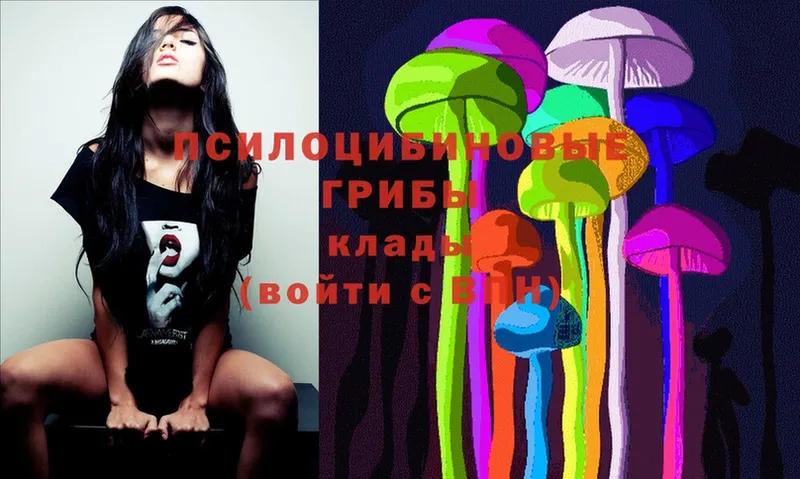 мориарти состав  Кудымкар  Галлюциногенные грибы MAGIC MUSHROOMS  blacksprut как зайти 