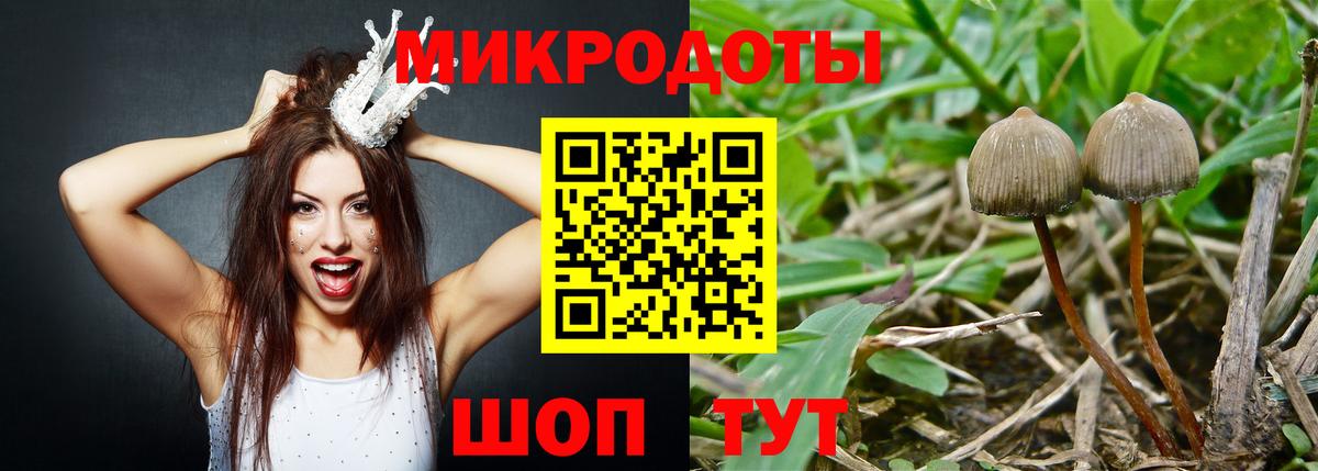 Кудымкар  Псилоцибиновые грибы GOLDEN TEACHER  Вход с VPN 